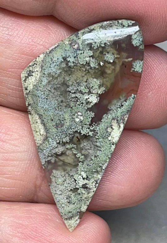 Freeform 40x20mm Lichen in Quartz Cabochon 14