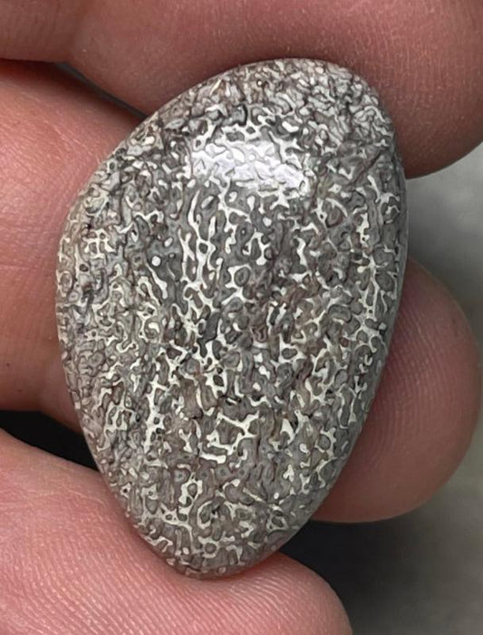 Freeform 29x18mm Dinosaur Bone Cabochon 27