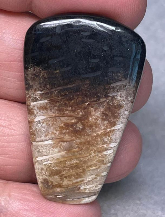 Freeform 41x25mm Indonesian Palm Root Cabochon 06