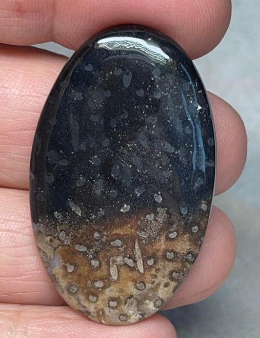Oval 42x25mm Indonesian Palm Root Cabochon 13