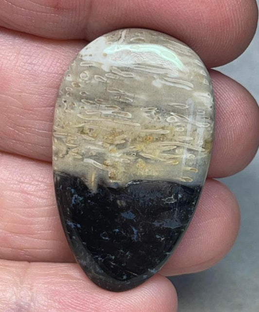 Teardrop 38x23mm Indonesian Palm Root Cabochon 16