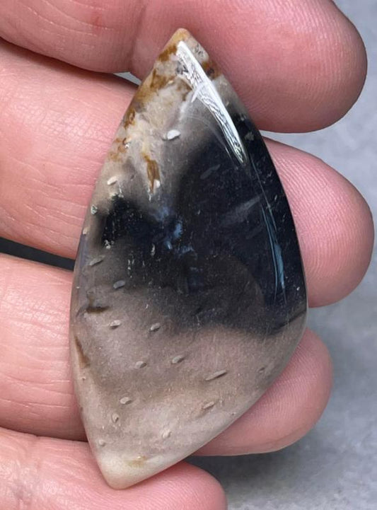 Freeform 48x24mm Indonesian Palm Root Cabochon 18