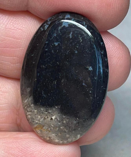 Oval 33x22mm Indonesian Palm Root Cabochon 20