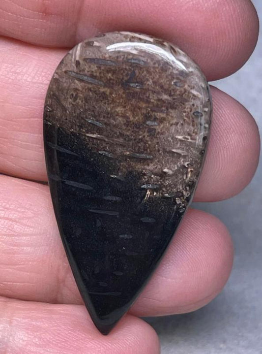 Teardrop 41x22mm Indonesian Palm Root Cabochon 27