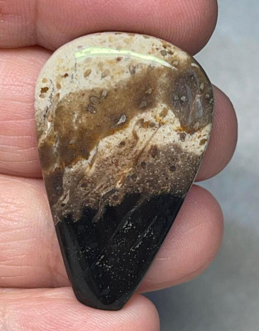 Freeform 38x24mm Indonesian Palm Root Cabochon 31
