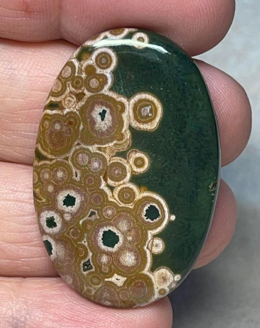 Oval 40x26mm Ocean Jasper Cabochon 10