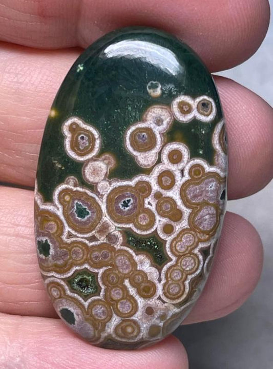 Oval 41x24mm Ocean Jasper Cabochon 23