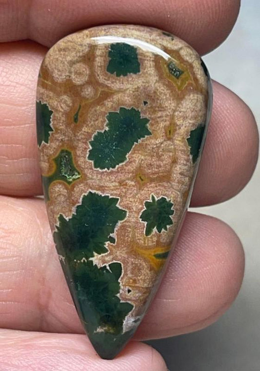 Teardrop 39x20mm Ocean Jasper Cabochon 26
