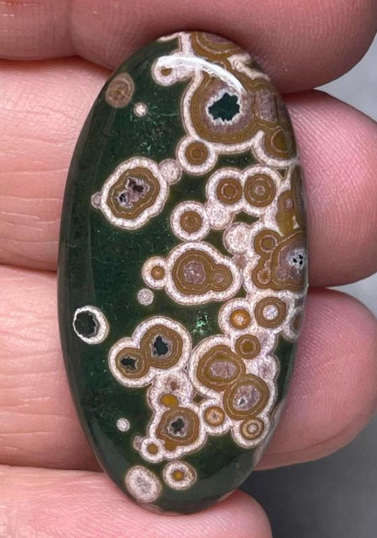 Oval 39x20mm Ocean Jasper Cabochon 37