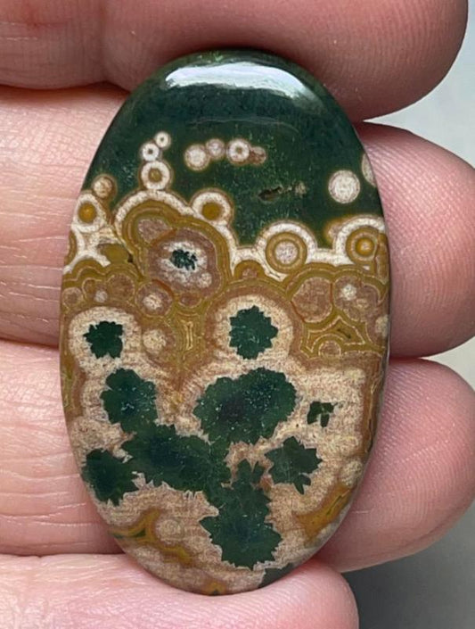Oval 37x22mm Ocean Jasper Cabochon 40