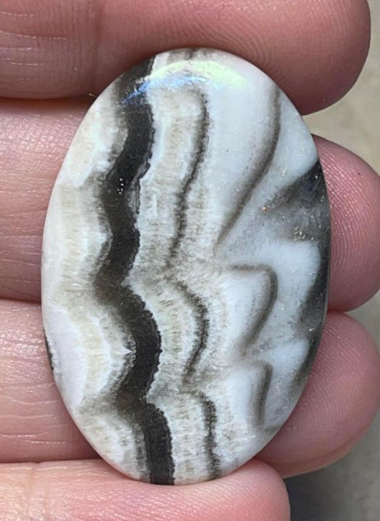 Oval 37x24mm Zebra Calcite Cabochon 29