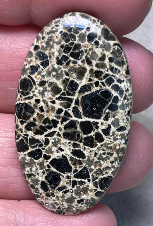 Oval 42x24mm Orbicular Jasper Cabochon 08