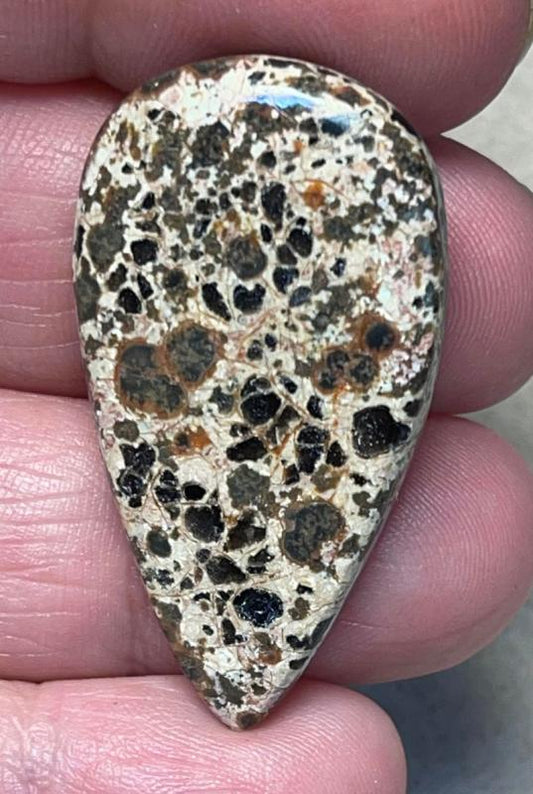 Teardrop 38x21mm Orbicular Jasper Cabochon 12