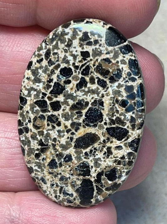 Oval 39x26mm Orbicular Jasper Cabochon 13