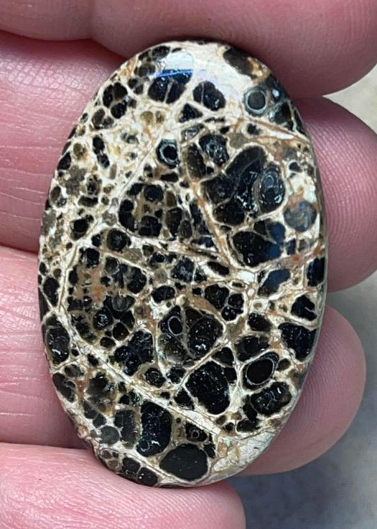 Oval 37x24mm Orbicular Jasper Cabochon 14