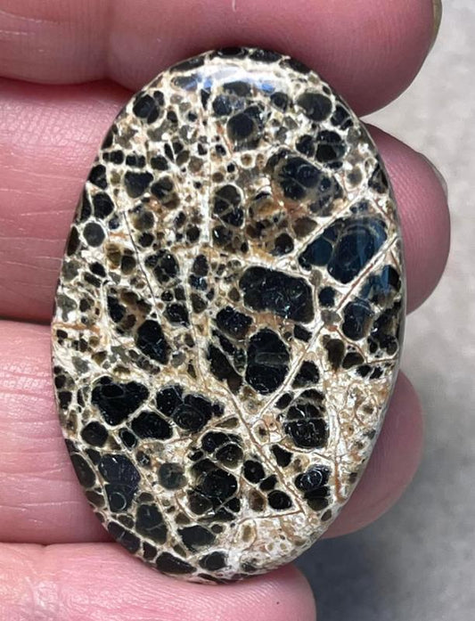 Oval 42x26mm Orbicular Jasper Cabochon 15