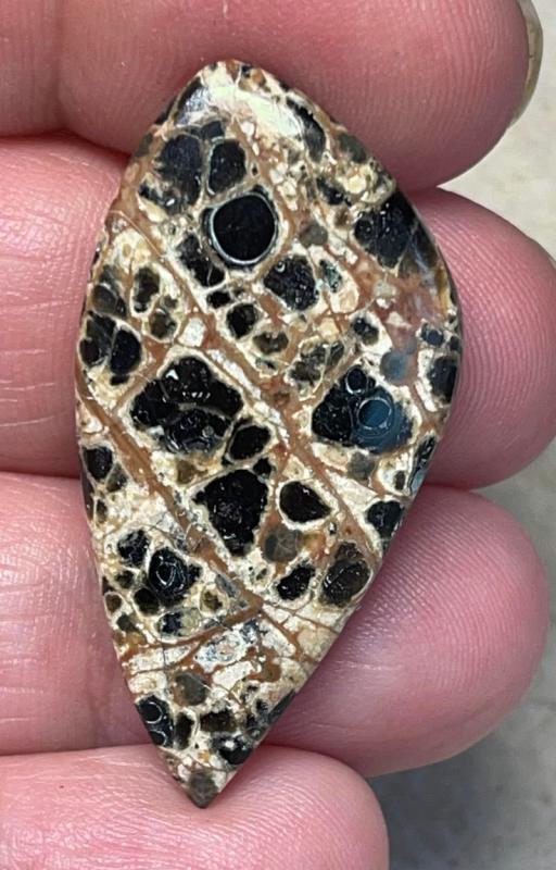 Freeform 39x20mm Orbicular Jasper Cabochon 18