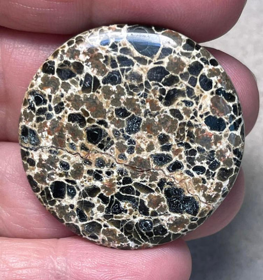 Round 36x36mm Orbicular Jasper Cabochon 19