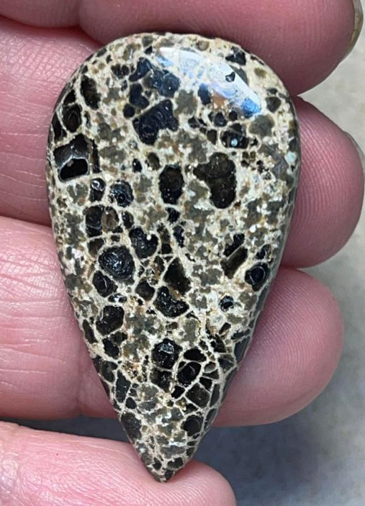 Teardrop 41x23mm Orbicular Jasper Cabochon 20
