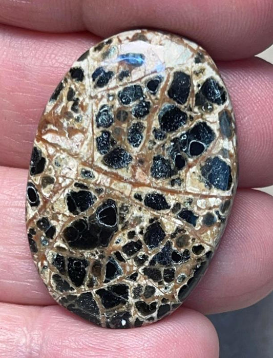 Oval 36x24mm Orbicular Jasper Cabochon 21