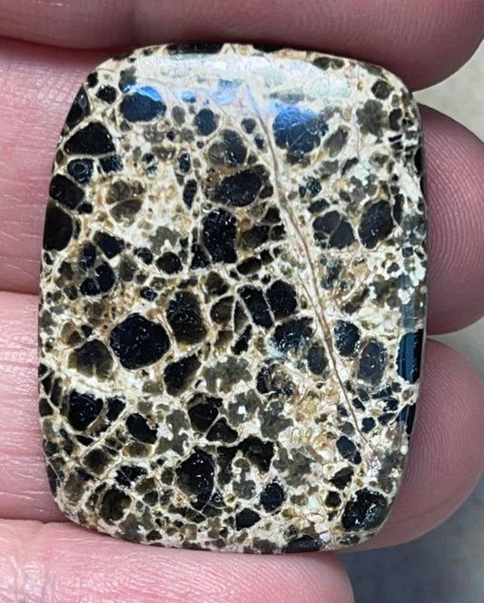 Rectangle 35x26mm Orbicular Jasper Cabochon 22