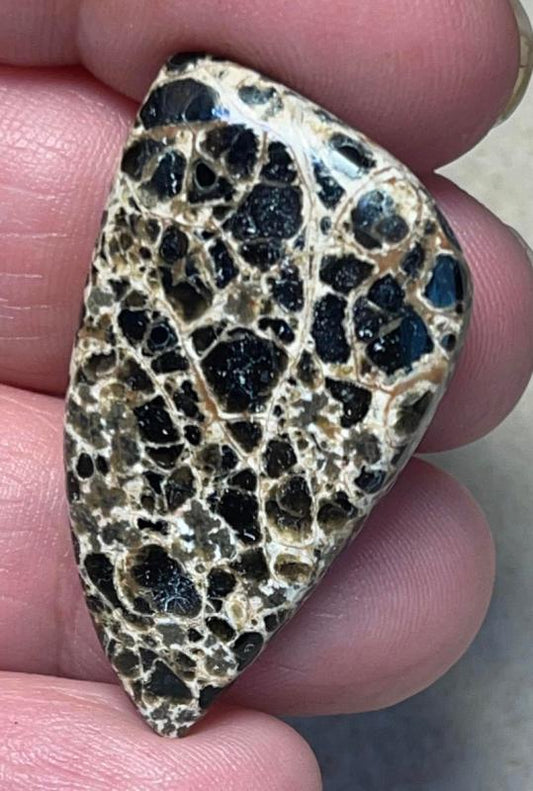 Freeform 38x21mm Orbicular Jasper Cabochon 23