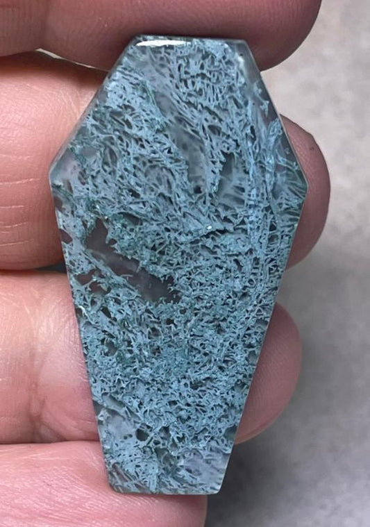Coffin 40x22mm Lichen in Quartz Cabochon 21