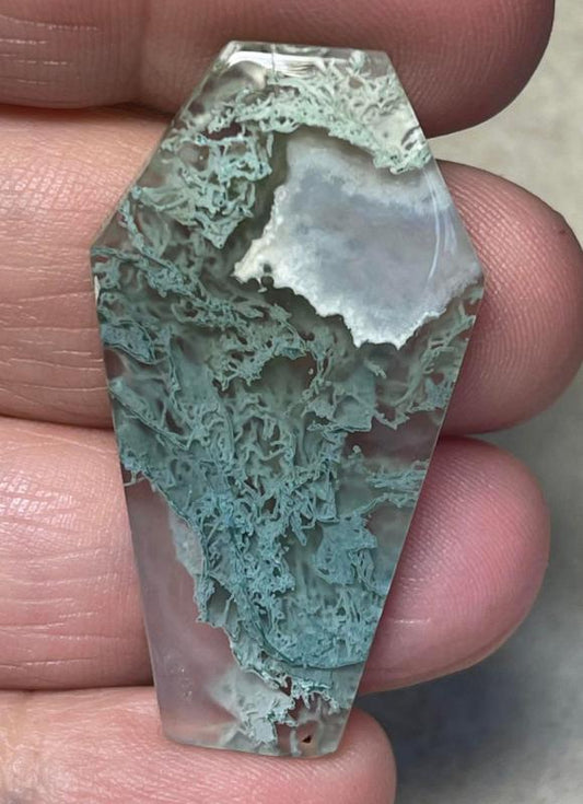 Coffin 41x22mm Lichen in Quartz Cabochon 30