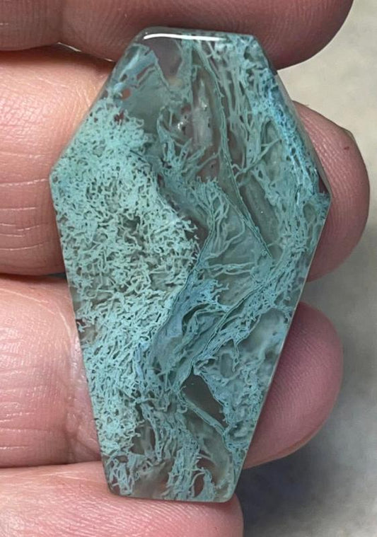 Coffin 39x23mm Lichen in Quartz Cabochon 42