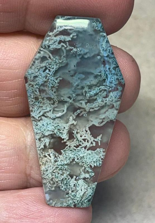 Coffin 40x21mm Lichen in Quartz Cabochon 43