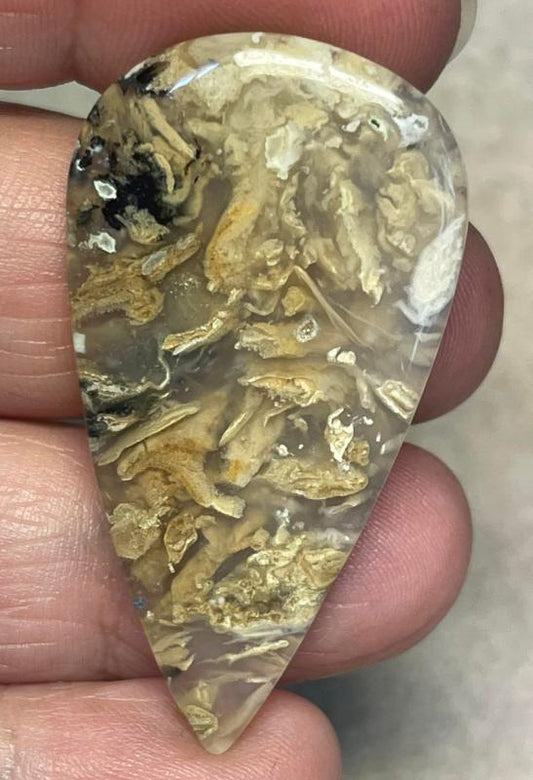 Teardrop 45x24mm Dendritic Tiger Agate Cabochon 09