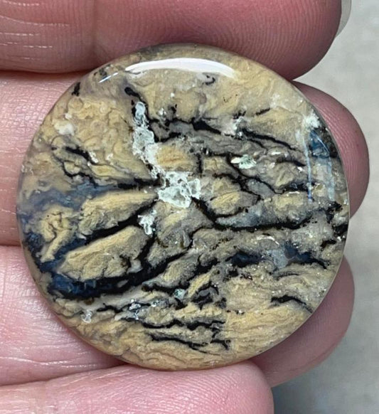 Round 32x32mm Dendritic Tiger Agate Cabochon 22