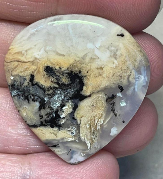 Teardrop 35x33mm Dendritic Tiger Agate Cabochon 29