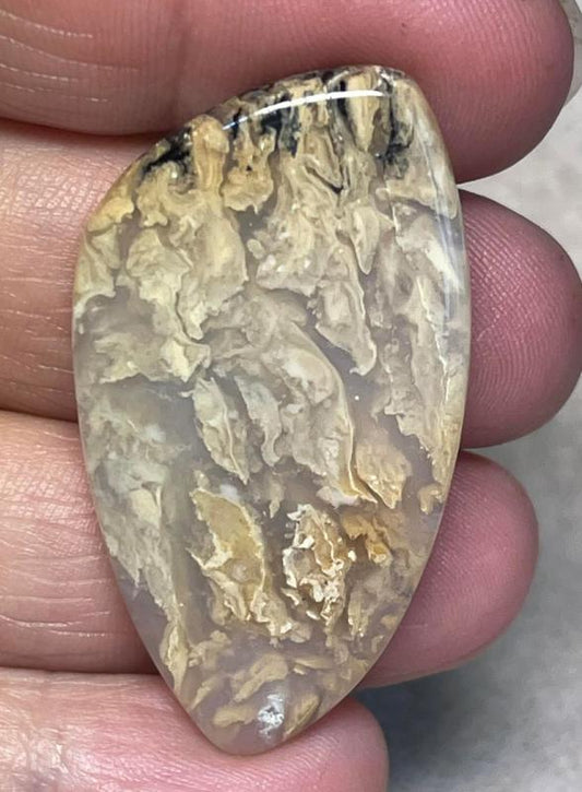 Freeform 44x24mm Dendritic Tiger Agate Cabochon 30