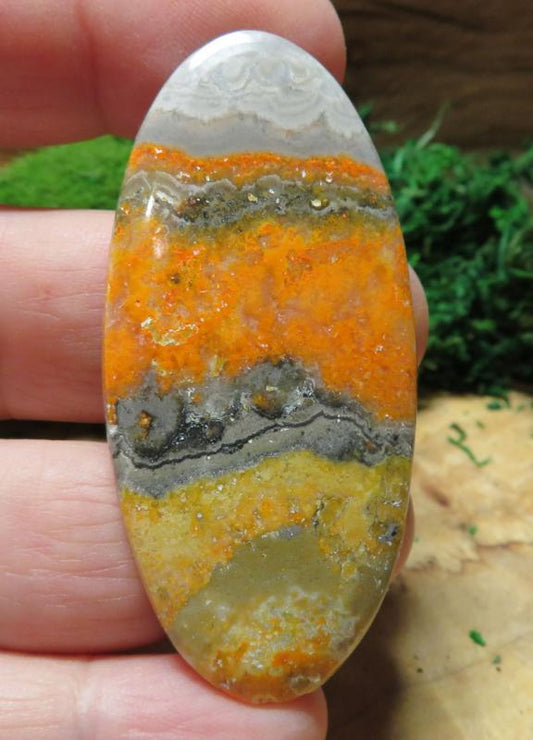 Oval 60x28mm Bumble Bee Jasper Cabochon 30