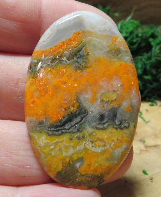 Oval 48x31mm Bumble Bee Jasper Cabochon 31