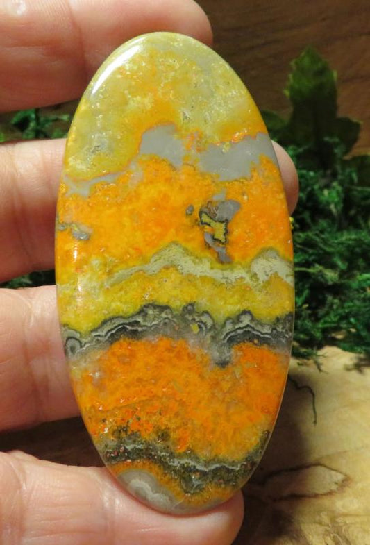 Oval 76x36mm Bumble Bee Jasper Cabochon 34