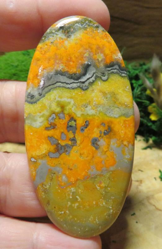 Oval 71x35mm Bumble Bee Jasper Cabochon 35