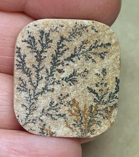 Rectangle 29x26mm Psilomelane Dendrite Cabochon 12