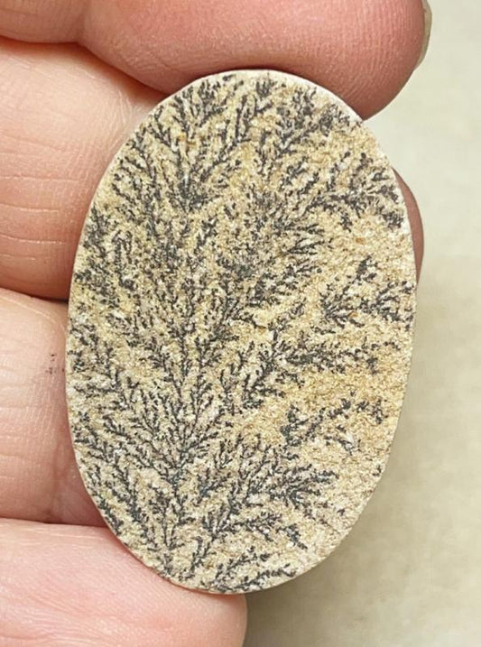 Oval 38x24mm Psilomelane Dendrite Cabochon 14