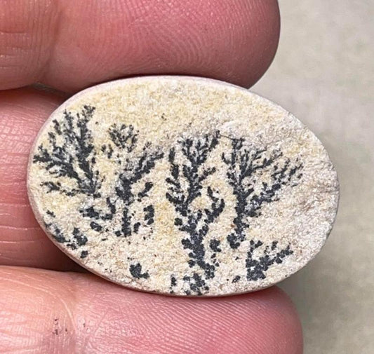 Oval 30x22mm Psilomelane Dendrite Cabochon 17