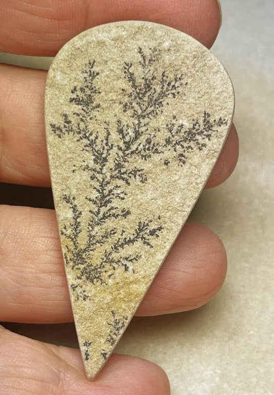 Teardrop 62x32mm Psilomelane Dendrite Cabochon 18