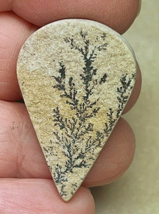 Teardrop 36x23mm Psilomelane Dendrite Cabochon 22