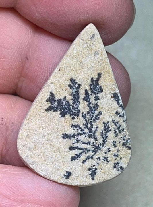 Teardrop 33x23mm Psilomelane Dendrite Cabochon 25