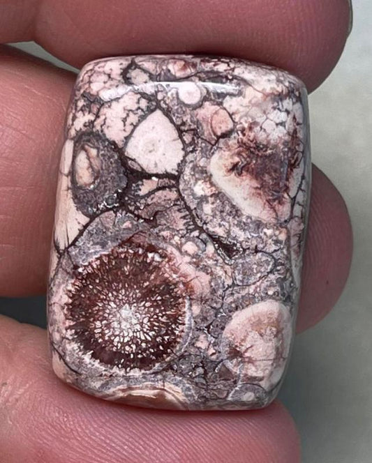 Rectangle 28x19mm Birds Eye Jasper Cabochon 11