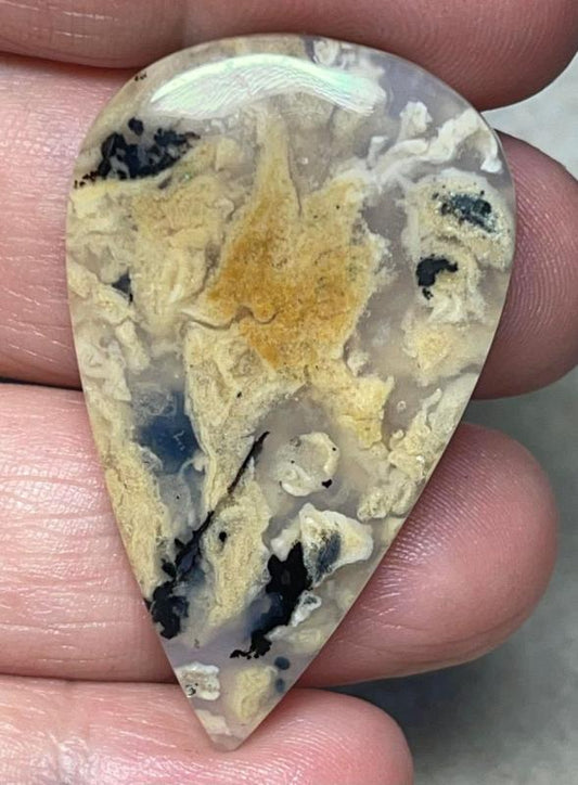 Teardrop 43x26mm Dendritic Tiger Agate Cabochon 33