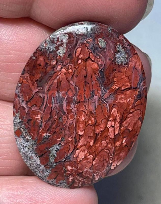 Oval 35x27mm Indonesian Palm Root Cabochon 32