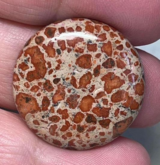 Round 26x26mm Asteroid Jasper Cabochon 23