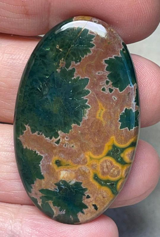 Oval 44x27mm Ocean Jasper Cabochon 41