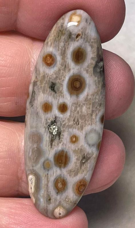 Oval 47x17mm Ocean Jasper Cabochon 47